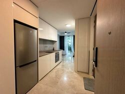 Amber Park (D15), Condominium #474655281